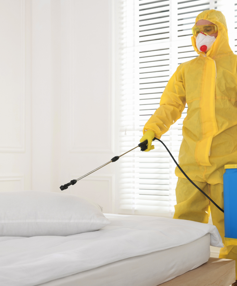 Professional Pest Control Team in Elizabeth East